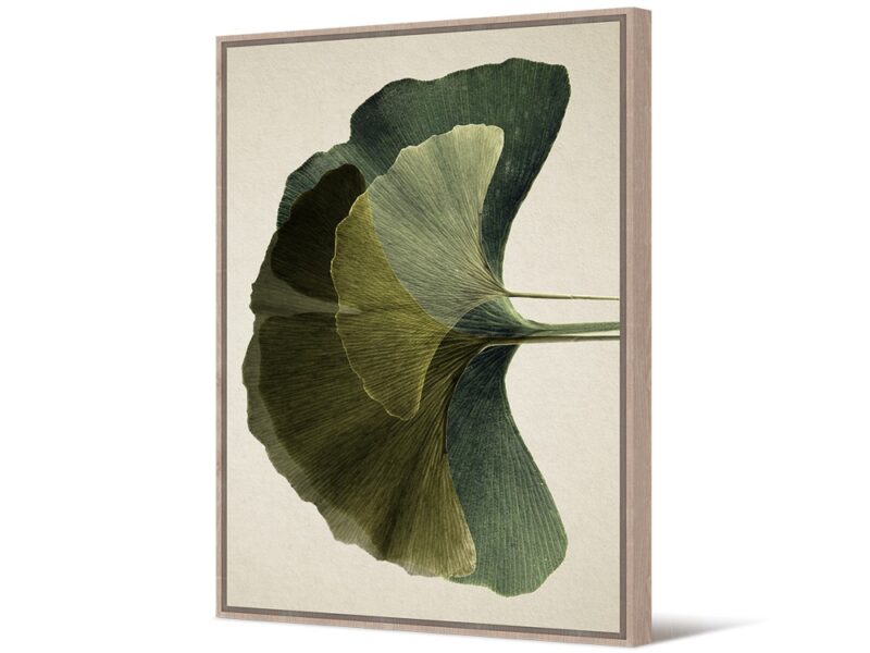 EUH - TOIR23229 fali kép