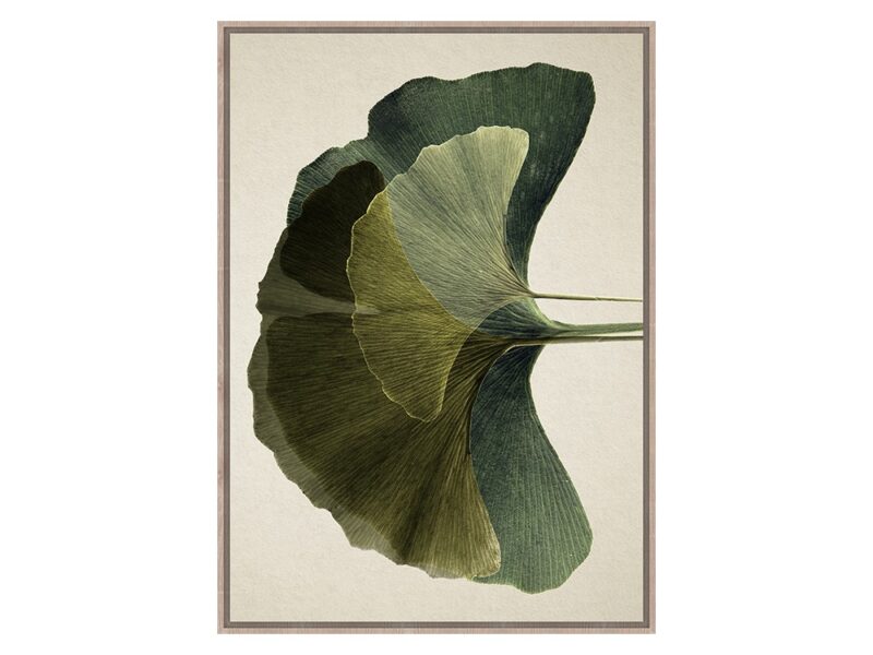 EUH - TOIR23229 fali kép