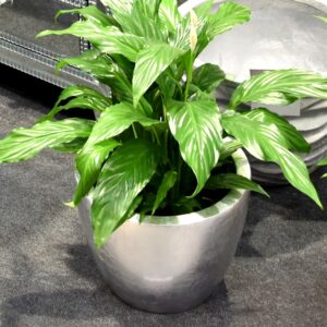 EUH Donica 2033/1, 2033/2 ezüst színű kaspó