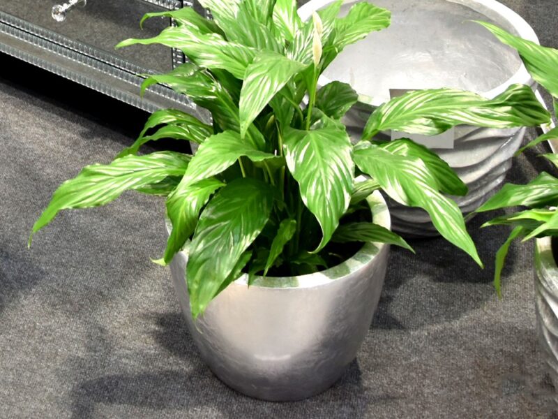 EUH Donica 2033/1, 2033/2 ezüst színű kaspó